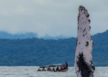 5 Lugares Para Hacer Turismo en el Pacífico