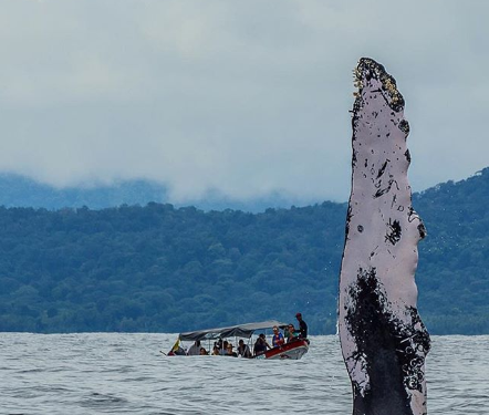 5 Lugares Para Hacer Turismo en el Pacífico