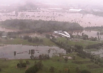 Después de los incendios, llegó el “diluvio del siglo” a Australia: inundaciones, bloqueos y hasta la aparición de un tiburón que causó terror