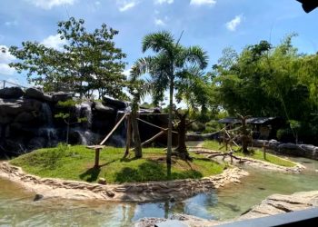 El Bioparque Ukumarí no recibirá nuevas especies de animales