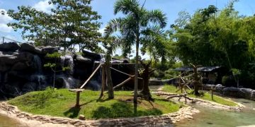 El Bioparque Ukumarí no recibirá nuevas especies de animales