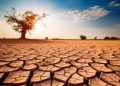 Que esperamos del cambio climático en el mundo para 2026