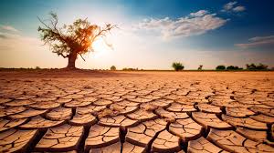 Que esperamos del cambio climático en el mundo para 2026