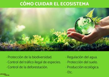 Como proteger la ecología en el mundo para 2026