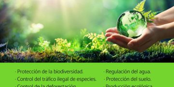 Como proteger la ecología en el mundo para 2026