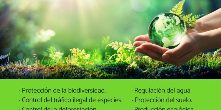 Como proteger la ecología en el mundo para 2026