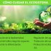 Como proteger la ecología en el mundo para 2026