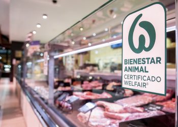 Comer con más información: el bienestar animal la nueva exigencia del consumidor colombiano